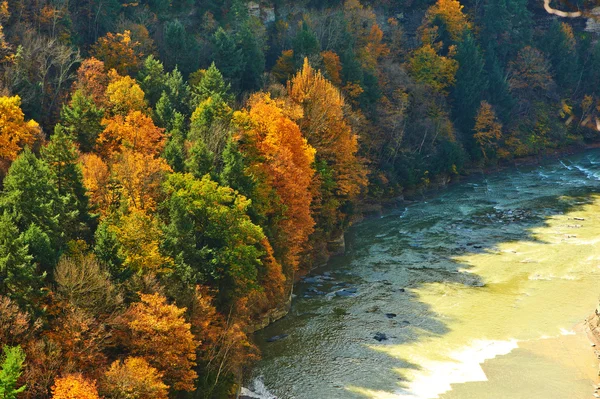Осенняя сцена реки и леса — стоковое фото