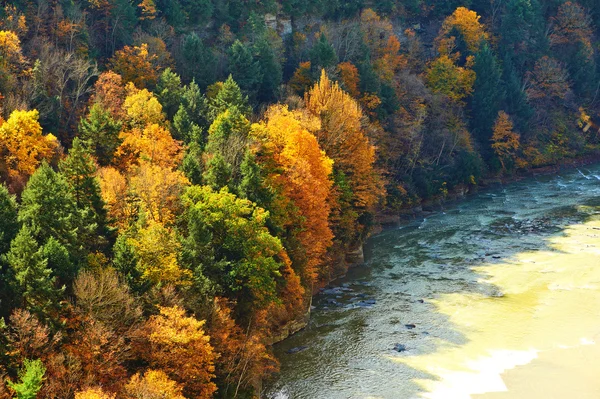 Autumn scene of river and forest — Stock Photo, Image