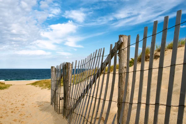 Weg zum Strand — Stockfoto