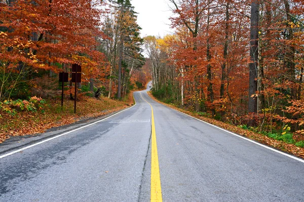 Cena de outono com estrada — Fotografia de Stock