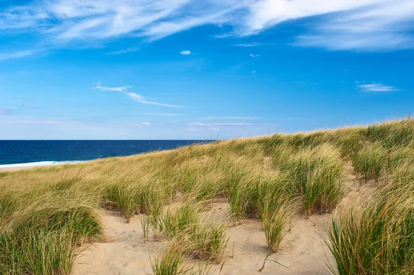 Sand dunes at Cape Cod — Stock Photo, Image