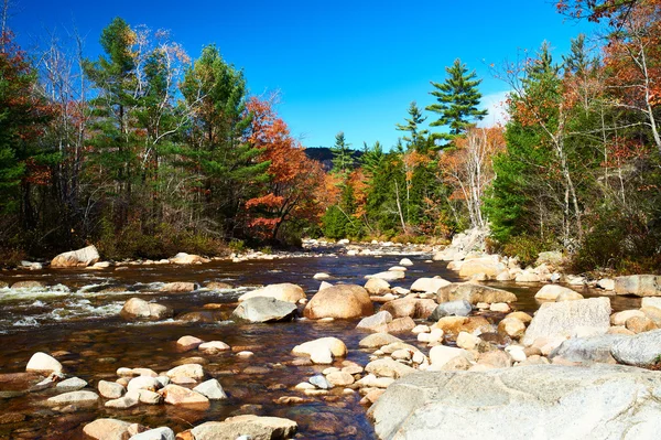 Swift River in autunno — Foto Stock