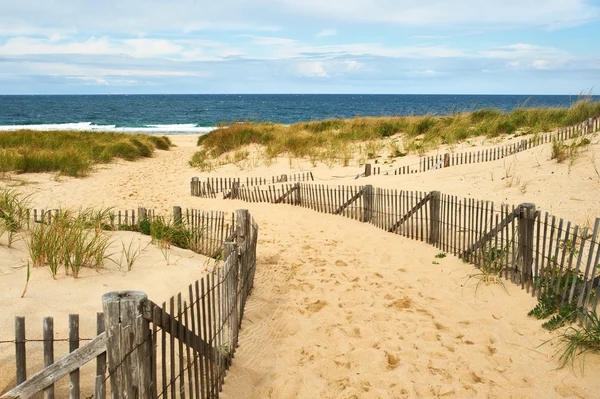 Path way to beach