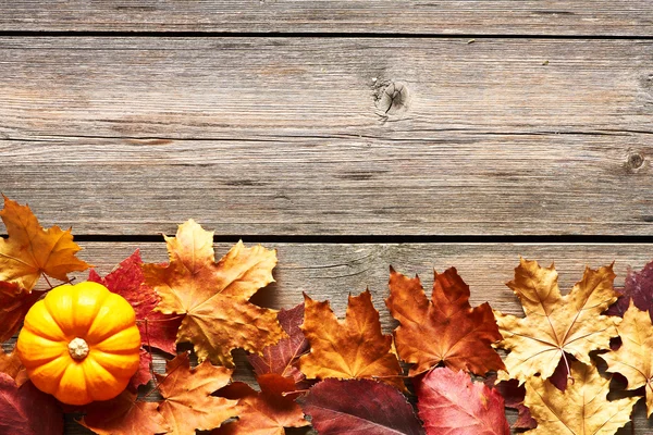 Hojas de otoño y calabaza — Foto de Stock