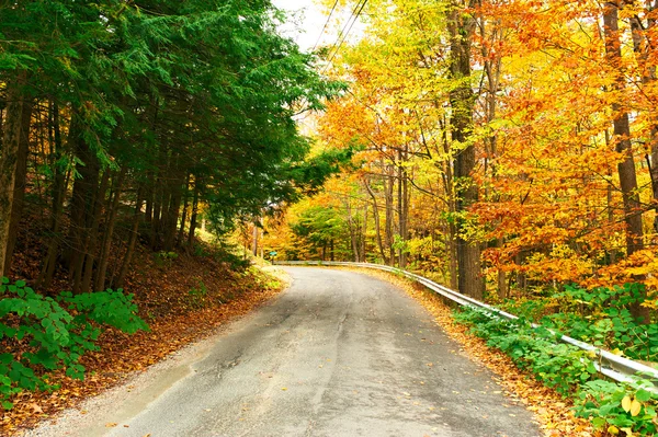 Herbstszene mit Straße — Stockfoto