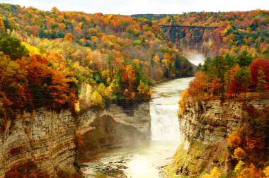 Letchworth Devlet Parkı