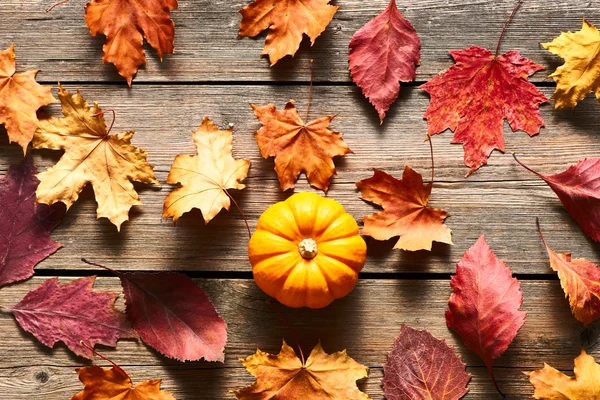 Autumn leaves and pumpkin — Stock Photo, Image