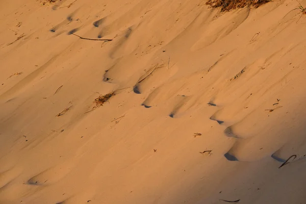 Sandy pozadí na dunách — Stock fotografie