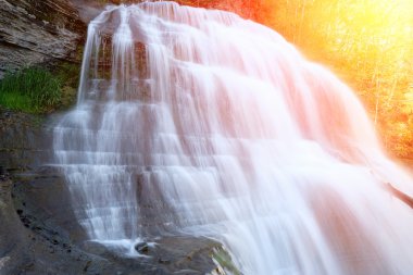 Robert H. Treman State Park 