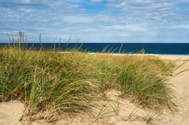 cape cod, kum tepeleri