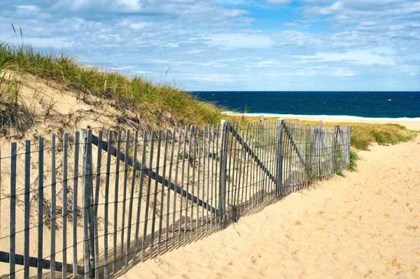 Ścieżka sposób na plaży na Cape Cod — Zdjęcie stockowe