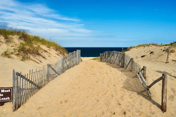 Ścieżka sposób na plaży na Cape Cod — Zdjęcie stockowe