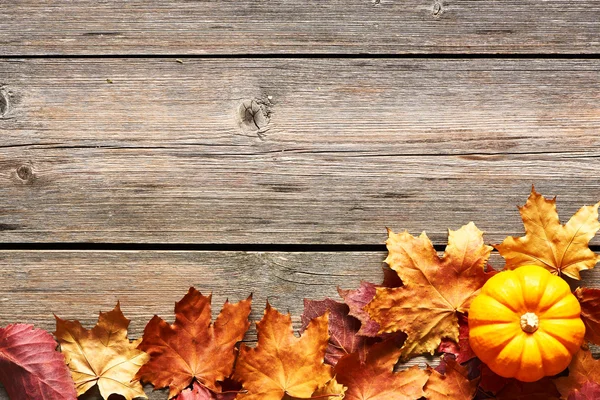 秋の紅葉とカボチャ — ストック写真