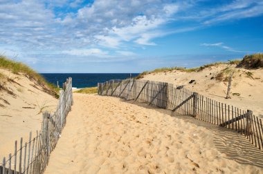Beach Cape Cod adlı yol yol