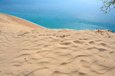 ayı dunes uyku 