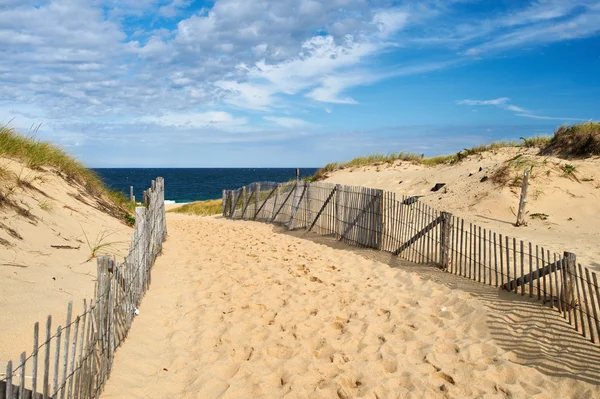 Шлях шлях до пляжу в Cape Cod — стокове фото