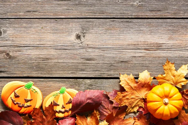 Halloween pepparkakor — Stockfoto