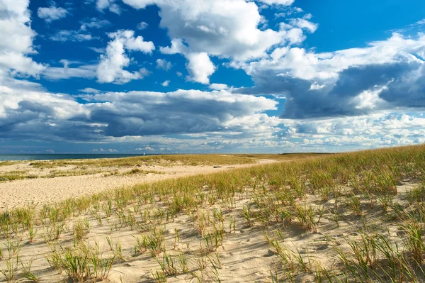 Sand dunes at Cape Cod — Stock Photo, Image