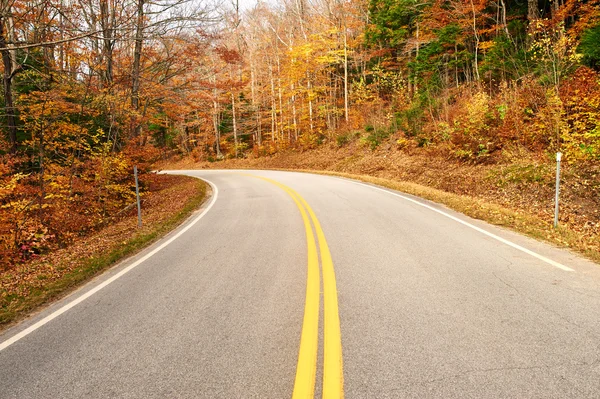 有道路的秋天场景 — 图库照片