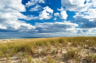 cape cod, kum tepeleri