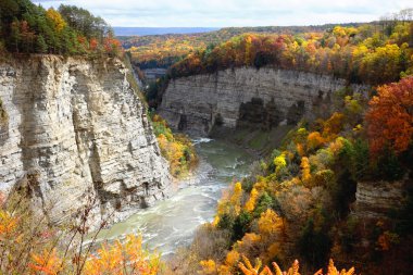 sonbahar nehir ve orman