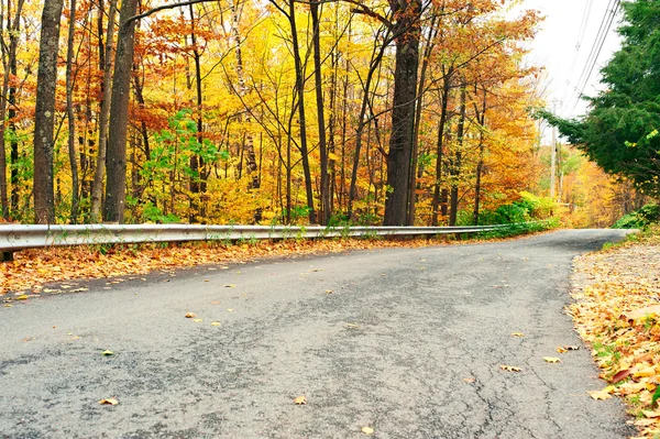 有道路的秋天场景 — 图库照片