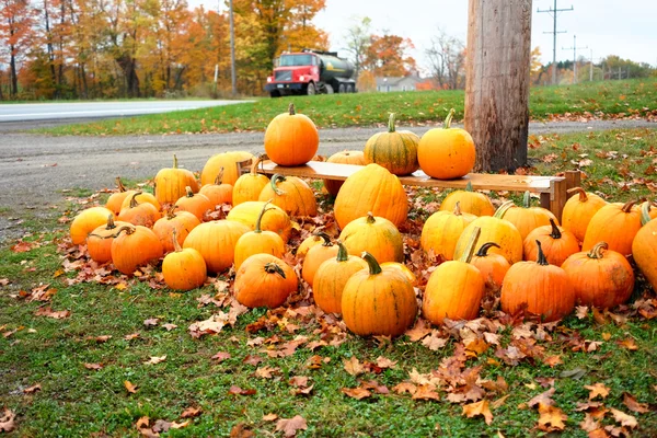 Calabazas en el mercado de otoño —  Fotos de Stock