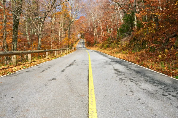 Escena de otoño con carretera —  Fotos de Stock