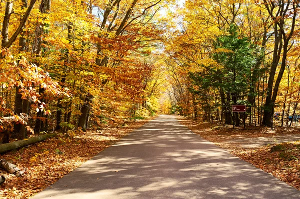 Autumn scene with road — Stock Photo, Image