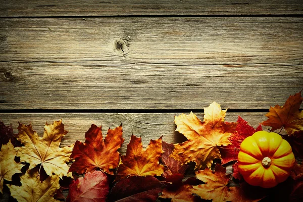 Foglie d'autunno e zucca — Foto Stock