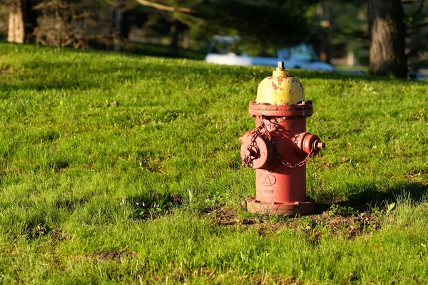 Red fire hydrant — Stock Photo, Image