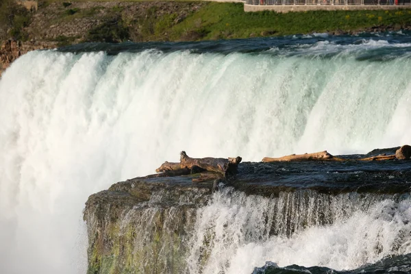 American side of Niagara Falls — Stock Photo, Image