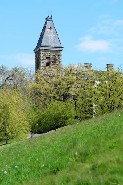 Universidad de Cornell en Ítaca —  Fotos de Stock