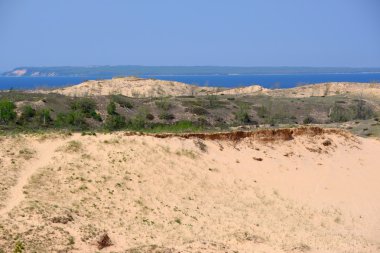 ayı dunes uyku 