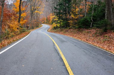 Autumn scene with road   clipart