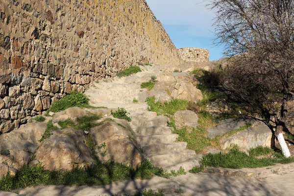 Antico monastero Khor Virap — Foto Stock