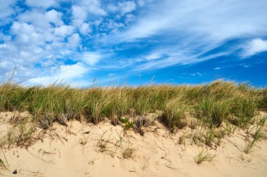 sand dunes at Cape Cod clipart