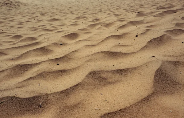 Sandy pozadí na dunách — Stock fotografie