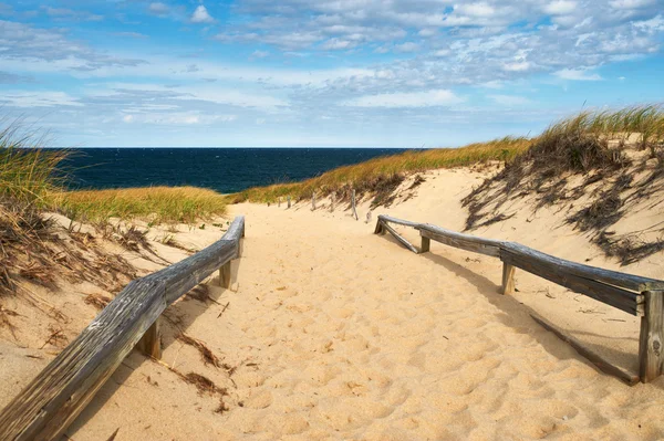 Path way to beach — Stock Photo, Image