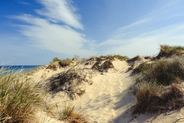 Sable noktası Dunes — Stok fotoğraf