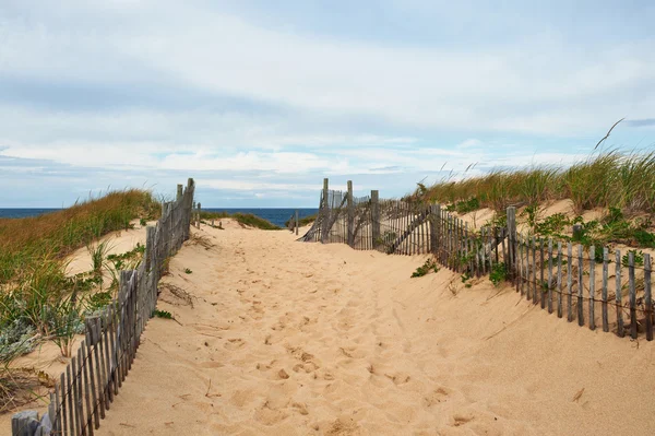 Cesta cesta na pláž — Stock fotografie