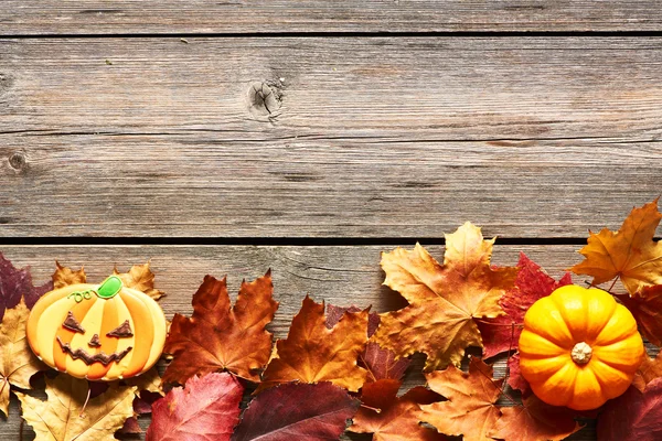 Cookie and pumpkin with leaves — Stock Photo, Image