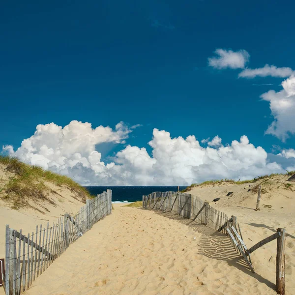 Droga Plażę Cape Cod Massachusetts Usa — Zdjęcie stockowe