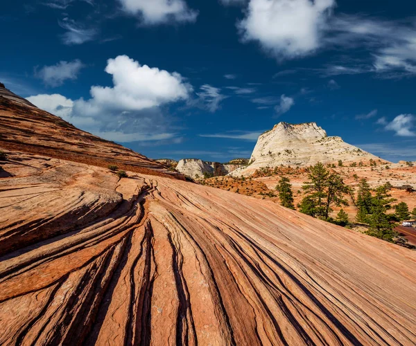 Utah Abd Deki Zion Ulusal Parkı Ndaki Kaya Oluşumlarıyla Manzara — Stok fotoğraf