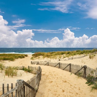 Cape Cod, Massachusetts, ABD 'deki sahile giden yol.. 