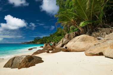 Seyşeller 'deki güzel sahil Anse Niyet, Mahe