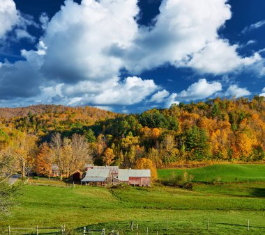 Vermont, ABD 'de güneşli bir sonbahar gününde ahırı olan Jenne Çiftliği