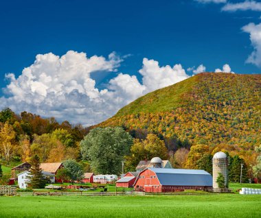 Batı Arlington, Vermont, ABD 'de güneşli bir sonbahar gününde kırmızı ahır ve siloları olan bir çiftlik.