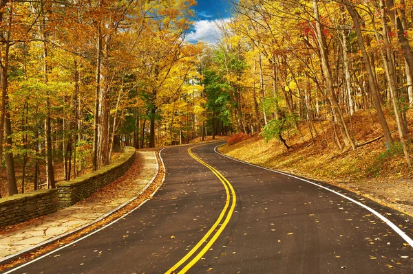莱奇沃思国家公园森林中的道路上的秋景 — 图库照片