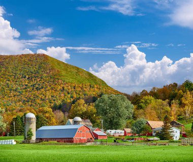 Batı Arlington, Vermont, ABD 'de güneşli bir sonbahar gününde kırmızı ahır ve siloları olan bir çiftlik.
